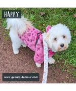 manteau pour maltipoo