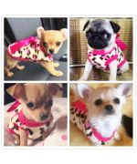 small leopard sweater for dog delivery ile de la reunion martinique dom tom canada marseille montpellier