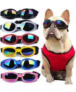 lunette pour bouledogue