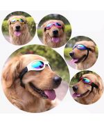 Gafas de sol grandes para perros