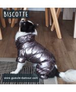 silver dog coat