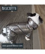 silver dog coat