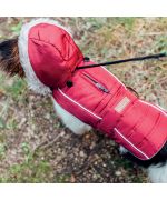 Doudoune chaude avec capuche amovible pour chien coloris rouge