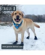 zapatos para perros grandes