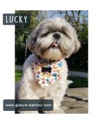 bandana for funny animals with dog paws at mouth of love