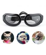 lunettes avec verres transparents pour chiens