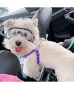 gafas para westie