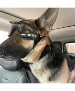 gafas protectoras para perros grandes