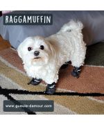 Winter boots for large dogs warm and waterproof