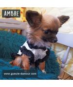 Original y linda camiseta para caniche, westie, bulldog francés en nuestra tienda online para animales gueule d'amour