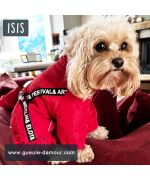 coat with integrated harness for dogs