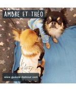 Original and cute t-shirt for poodle, westie, french bulldog on our online store for animals gueule d'amour