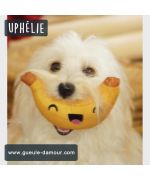 toy for Havanese bichon