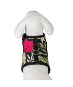 tropical dog harness