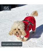 coat with integrated harness for dogs