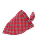 foulard pour lhassa apso