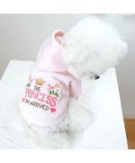 Pull princesse pour bichon