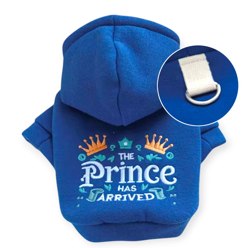 Prince dog sweater