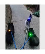 colgante led para perro luminoso