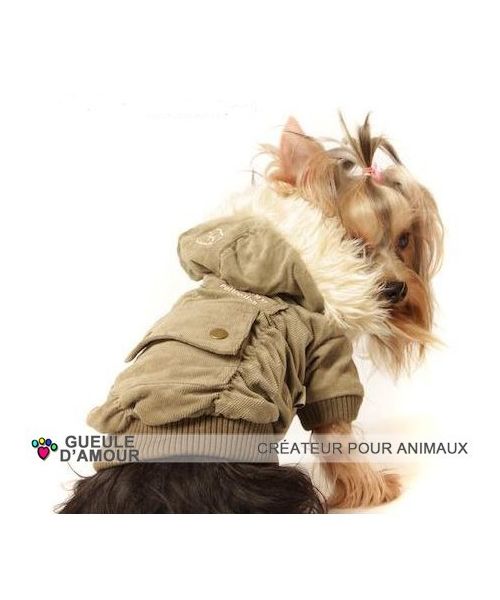 Fashion manteau pour staffie