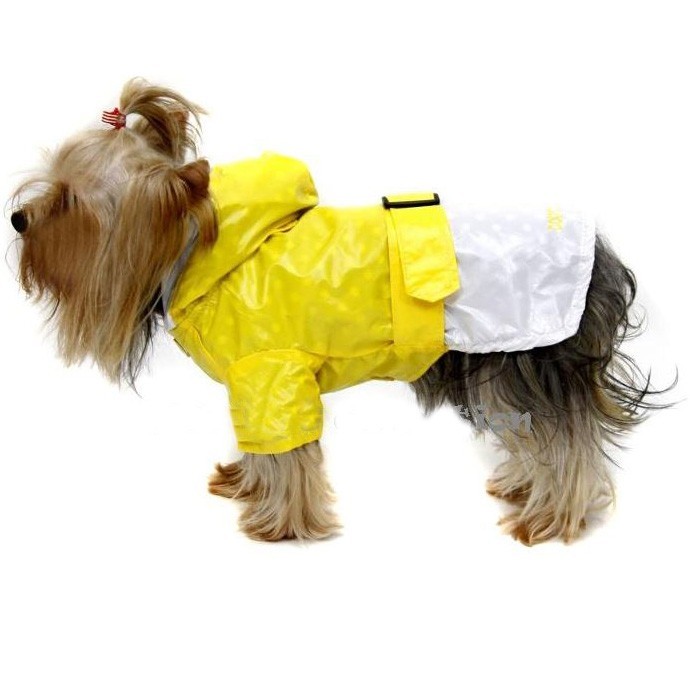 pimienta amistad Panadería Ropa impermeable para perros - Ropa de lluvia para perros