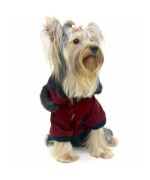 Abrigada chaqueta de invierno para perros miniatura talla xxs, xs ideal chihuahua, yorkshire terrier trendy y a la moda con