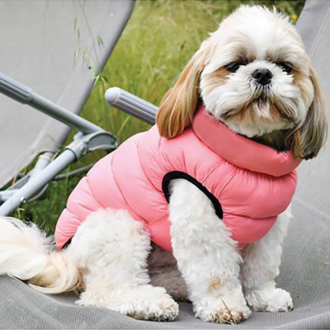 manteau pour chien shih tzu