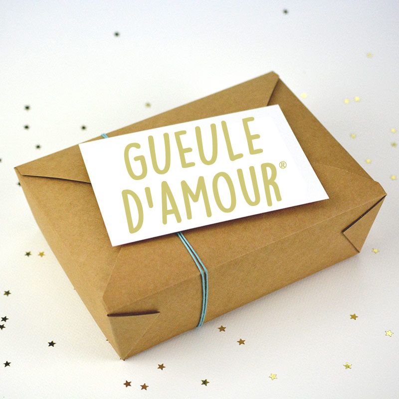 https://www.gueule-damour.com/8080/box-surprise-pour-chat.jpg