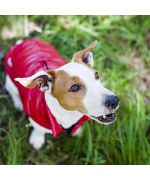 Abrigo cálido para jack russel