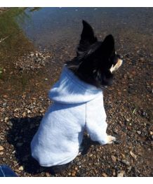 Sweat Pour Chien Sweats Chien Pull A Capuche Pour Chien Gueule D Amour