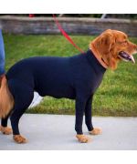 anti-scratch suit for dogs