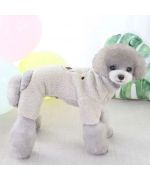 bichon suit