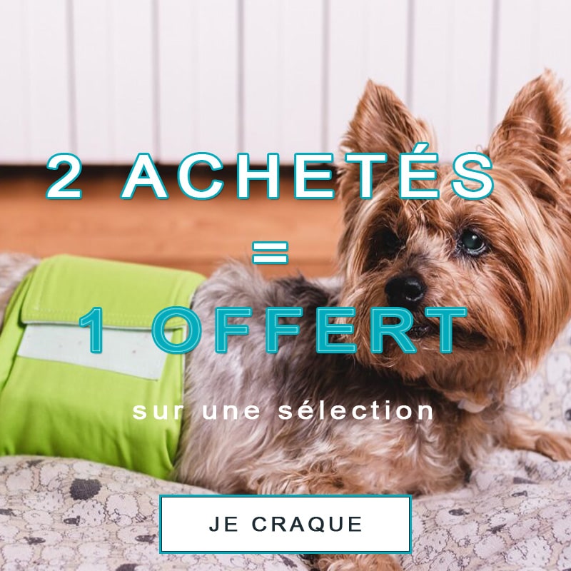 2 articles achetés = 1 offert