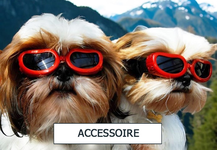 Accessoire pour animaux