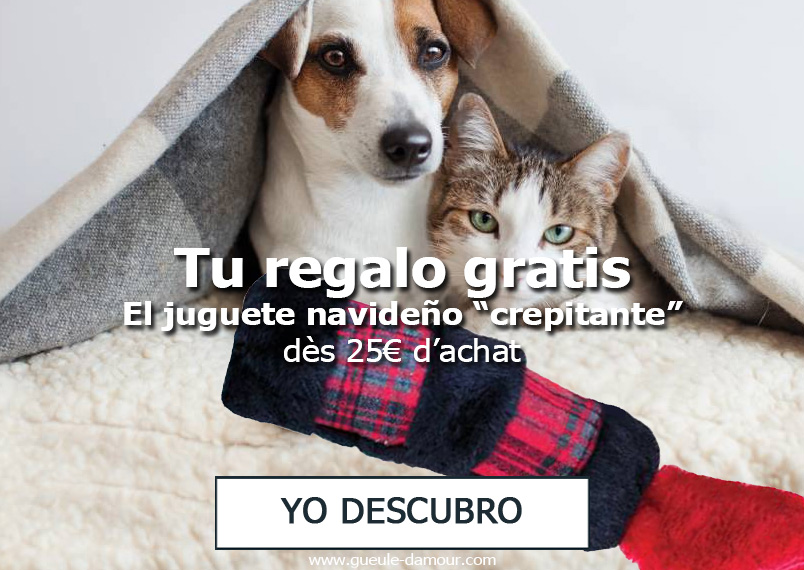 Tu regalo