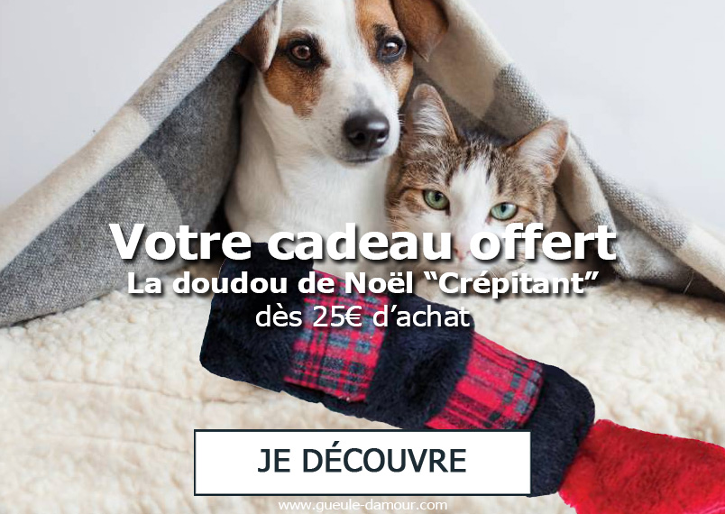 Votre cadeau