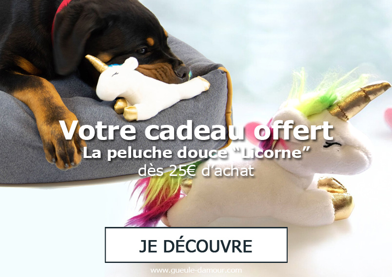 Votre cadeau