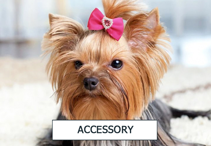 Pet accessory