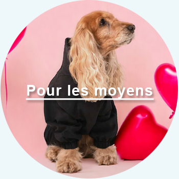 articles pour les moyens chiens