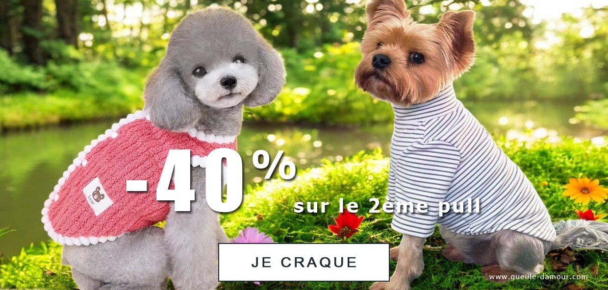 promotions pulls pour chiens et chats