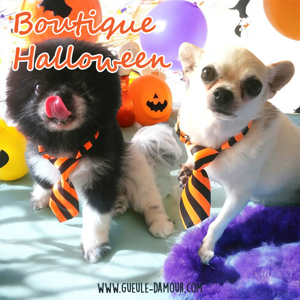 Boutique Halloween