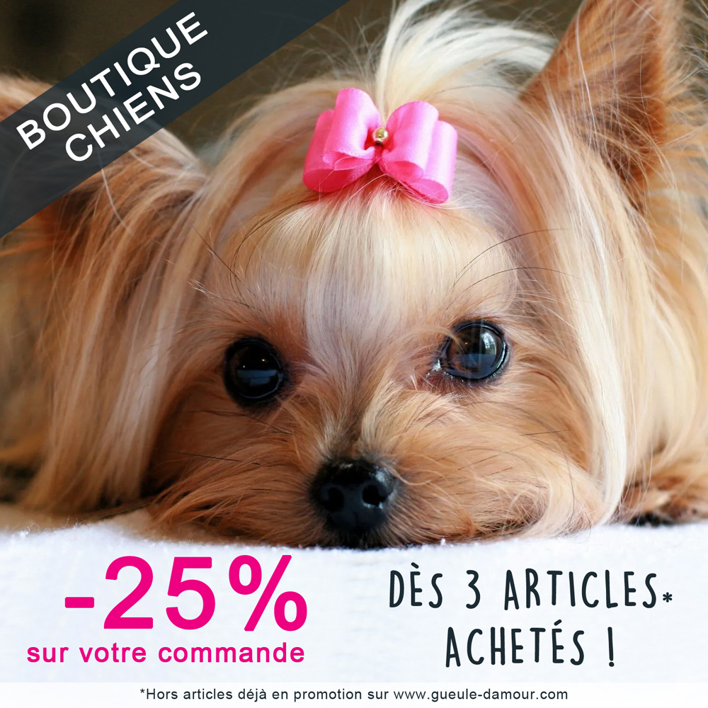 Housse Protection Chien pas cher - Achat neuf et occasion