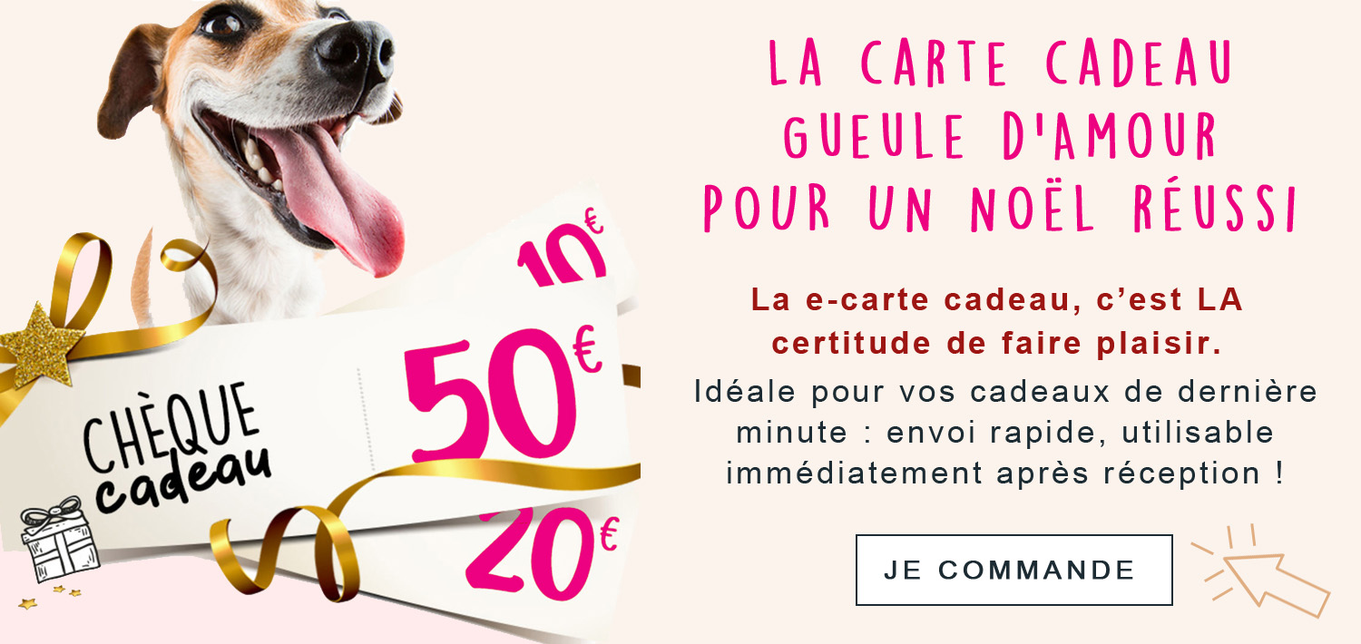 CARTE CADEAU