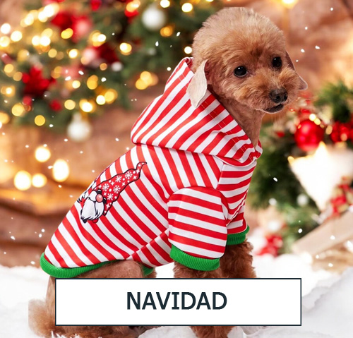 Perros navidad