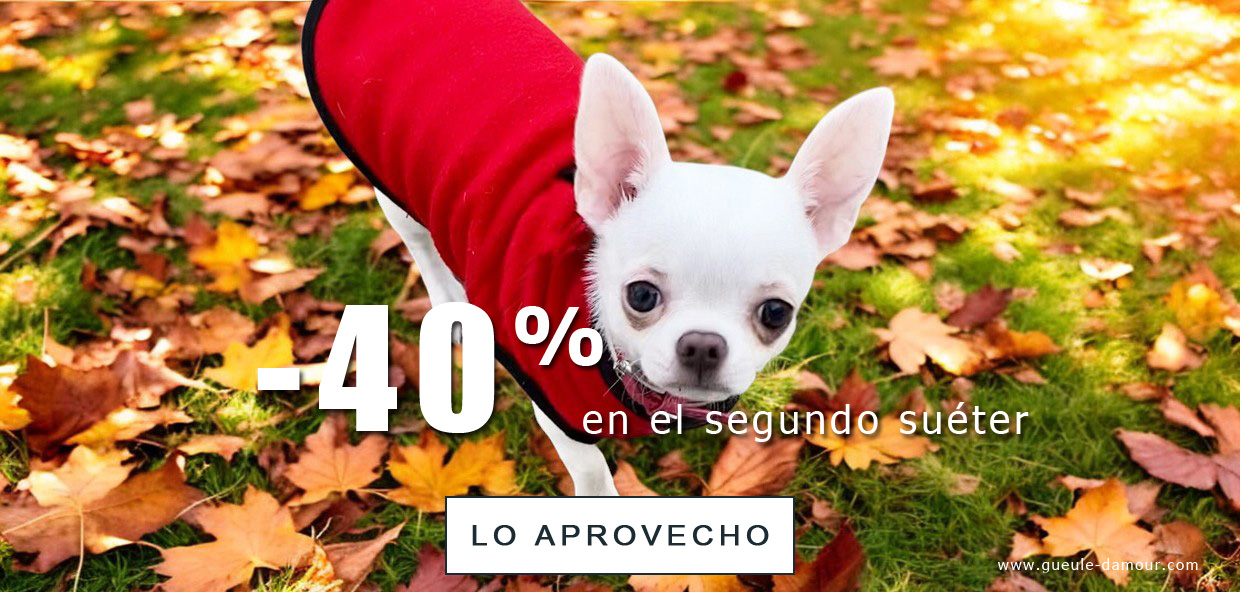 suéter para perros en oferta