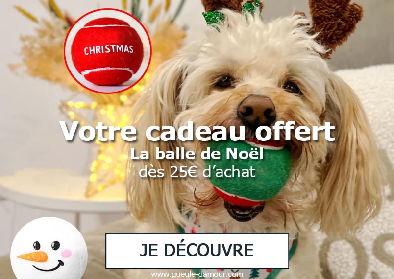 Votre cadeau