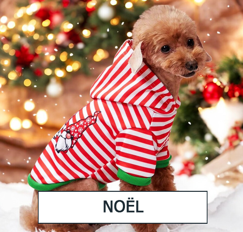 Noël pour animaux