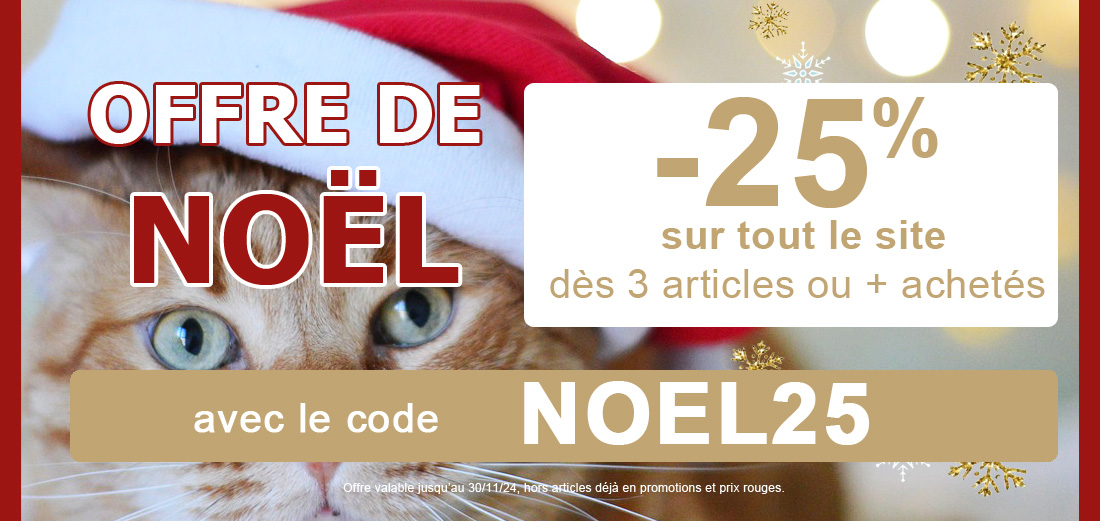 OFFRE DE NOËL