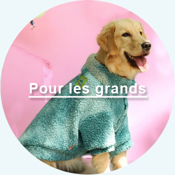 articles pour les grands chiens