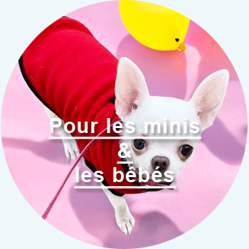 articles pour les minis chiens et les bébés